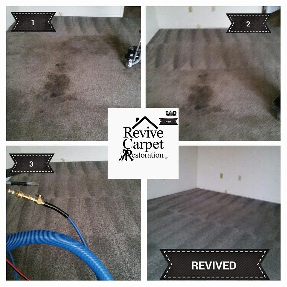 Revive Carpet Restoration Inc. logo
