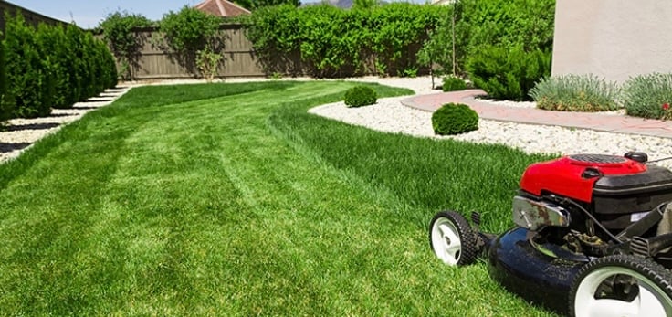 Avatar for lawn care services 