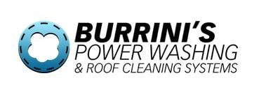 Avatar for Burrini's Powerwashing & Roof Cleaning Systems