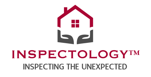 Avatar for Inspectology