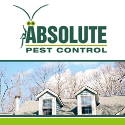 Avatar for Absolute Pest Control