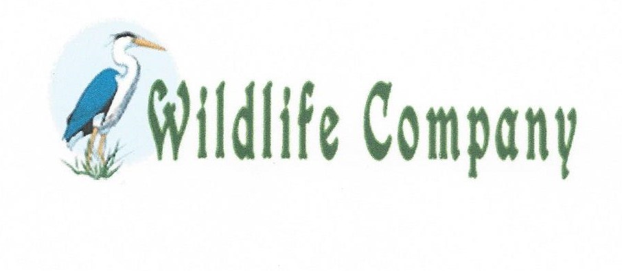 Avatar for Wildlife Company