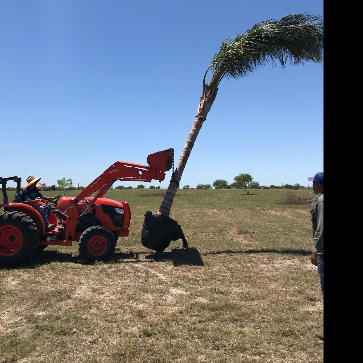 Top 5 Rated Tree Removal Services In George West Tx Angi Angie S List
