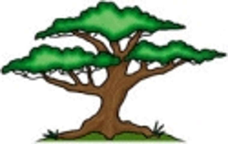 Express Tree & Landscaping logo