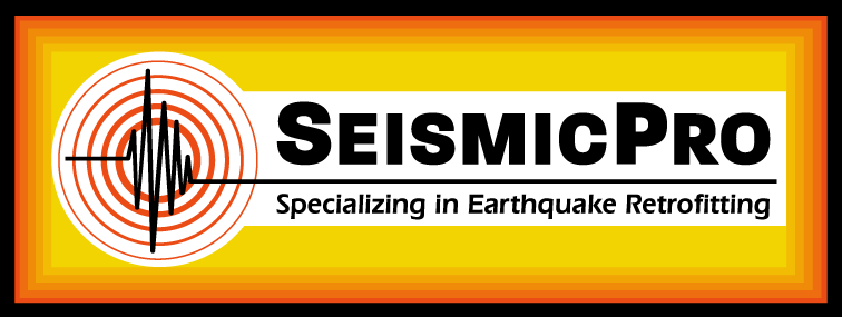 Logo for Seismic Pro