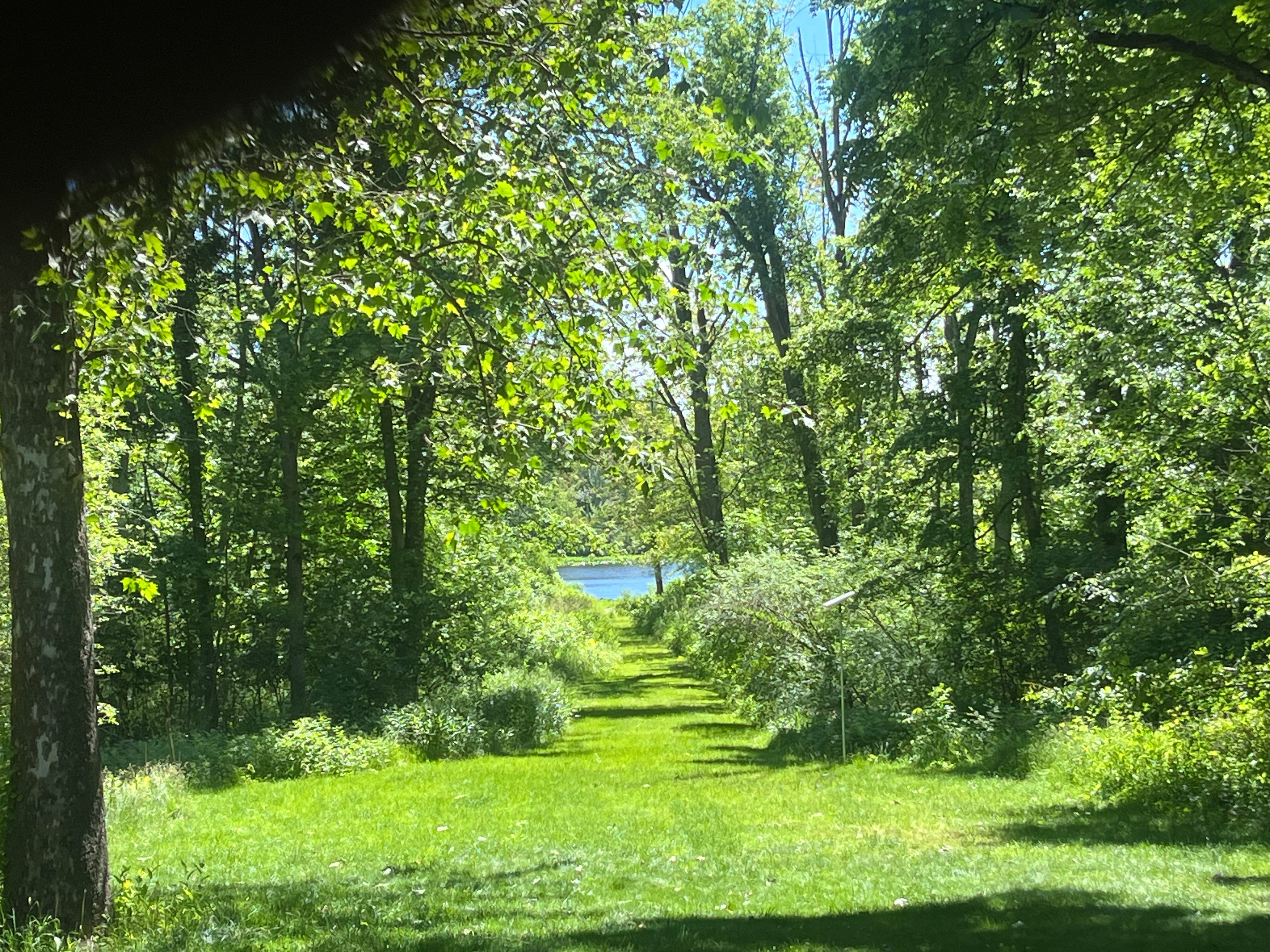 Avatar for South Michigan Tree Services