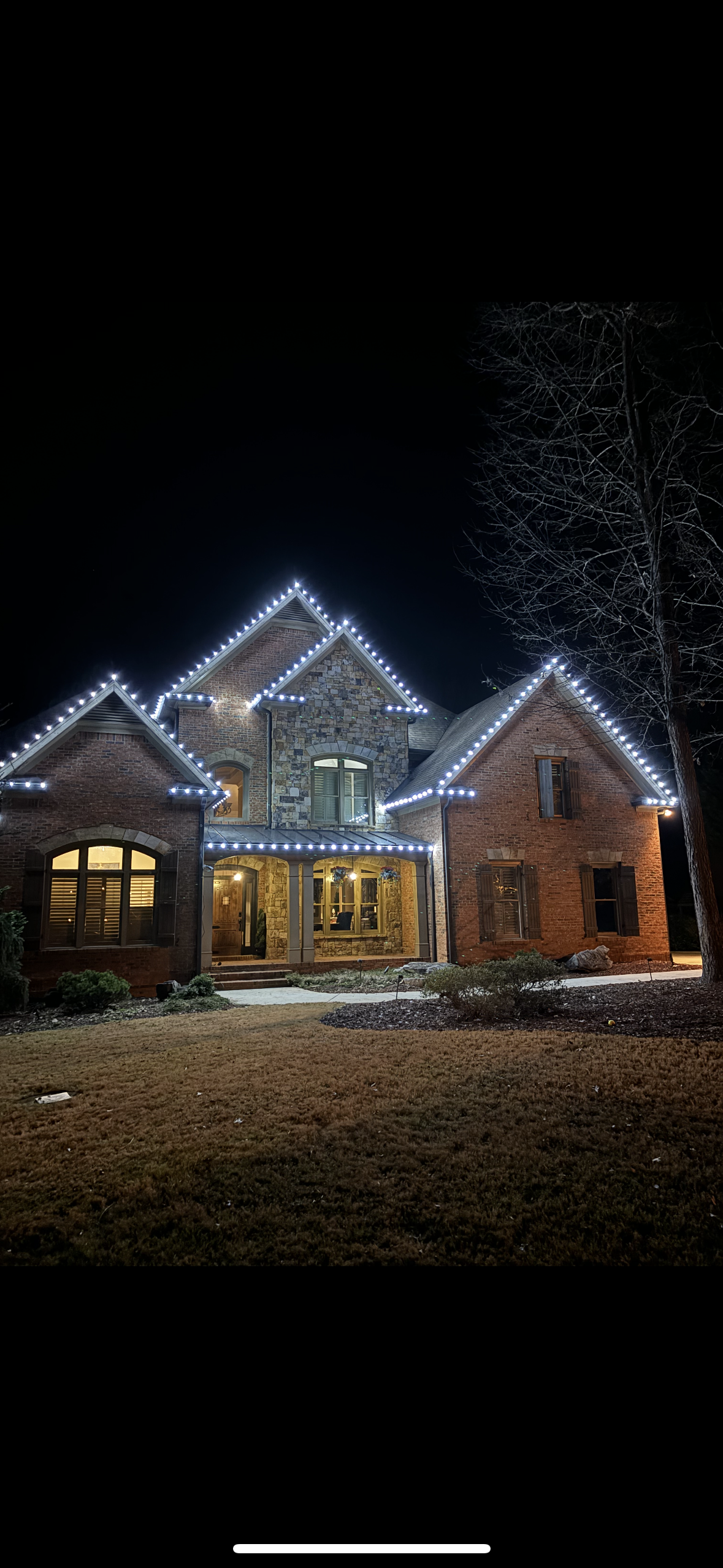 Avatar for 4Seasons Holiday Lights 