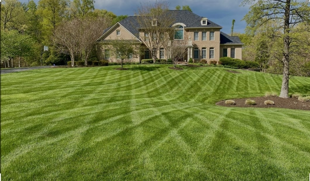 Avatar for Story landscaping