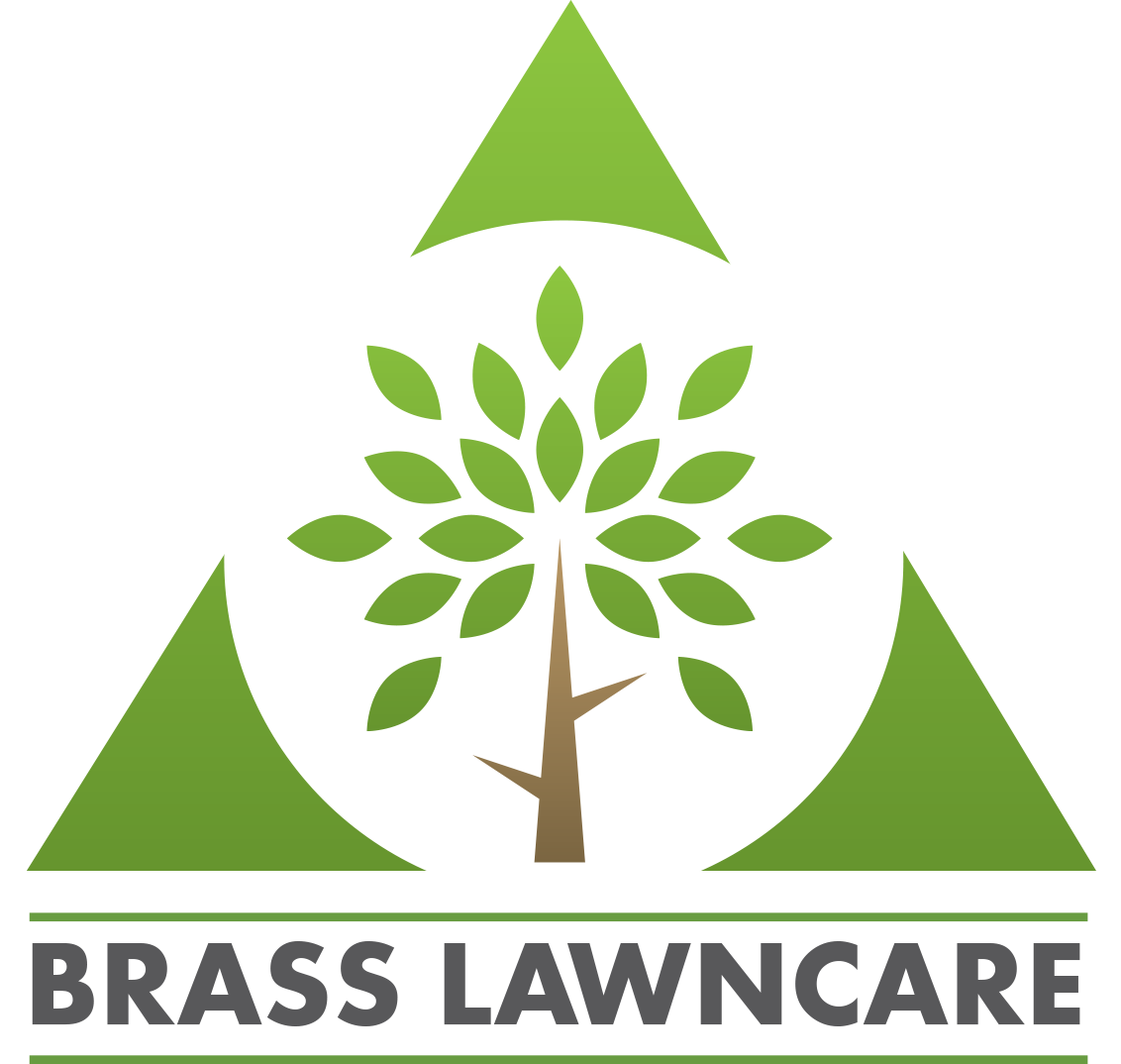 Avatar for Brass Lawn Care