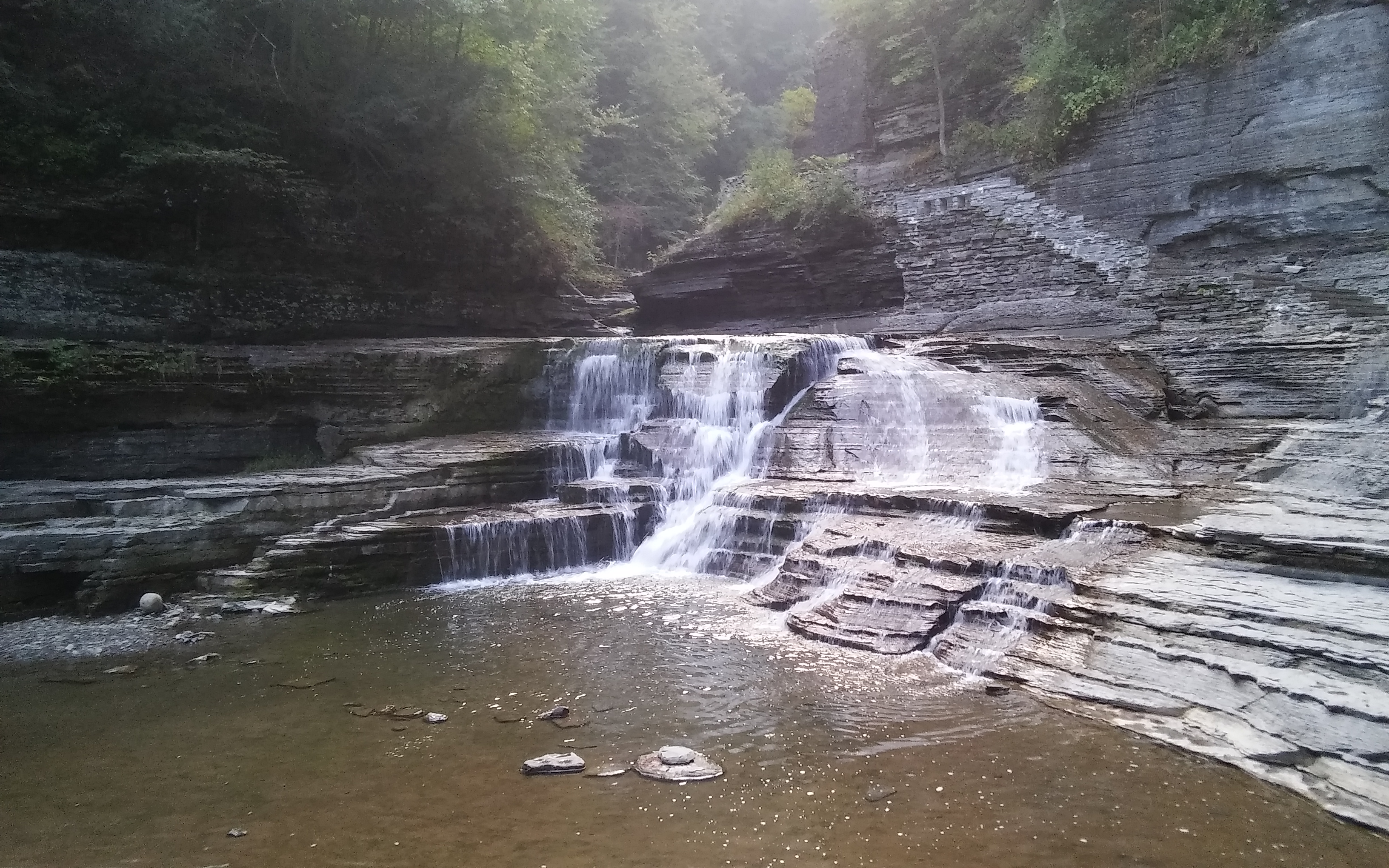 Avatar for precision hardscape restoration