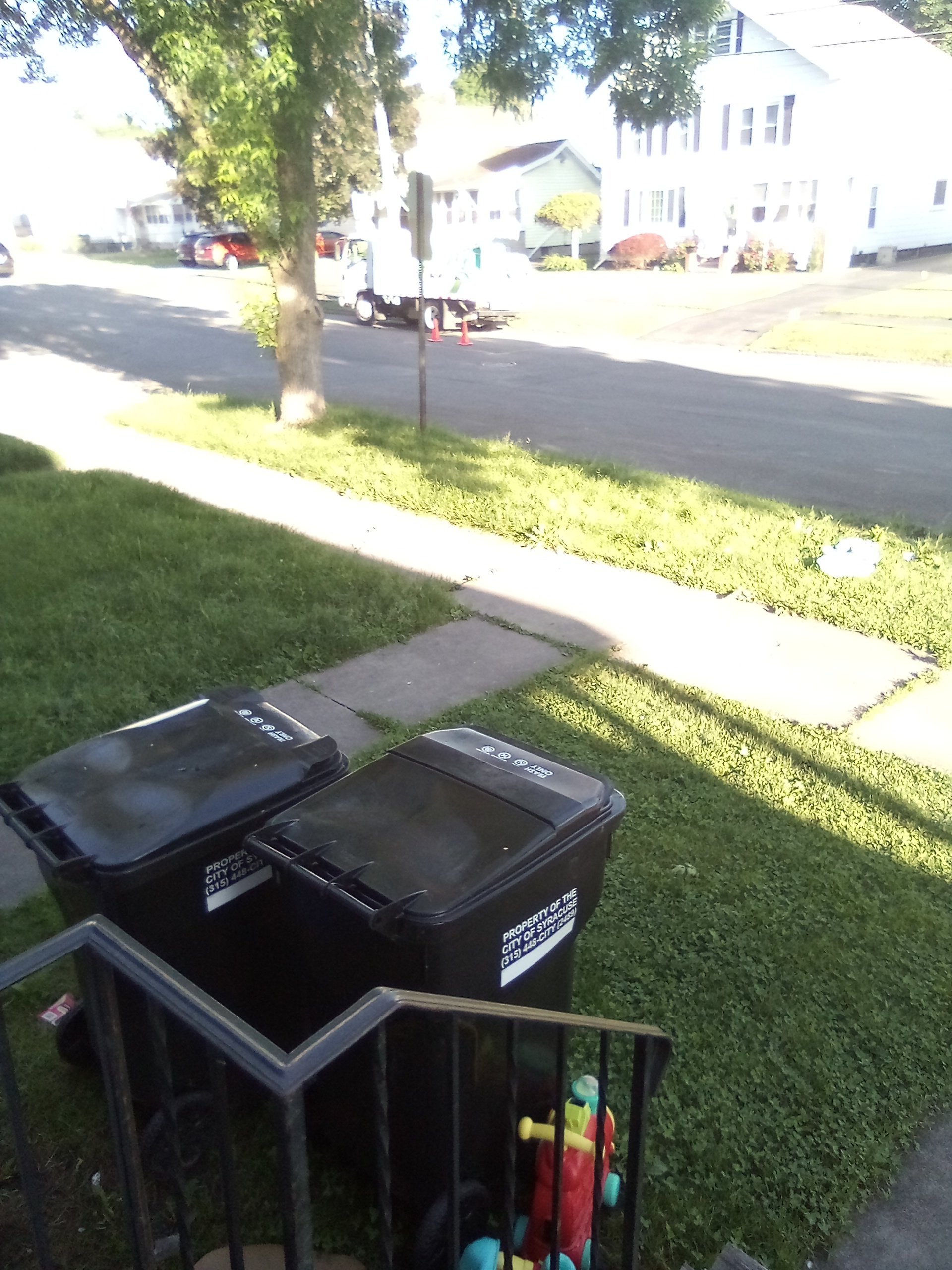 Avatar for Thomas Spagnola 