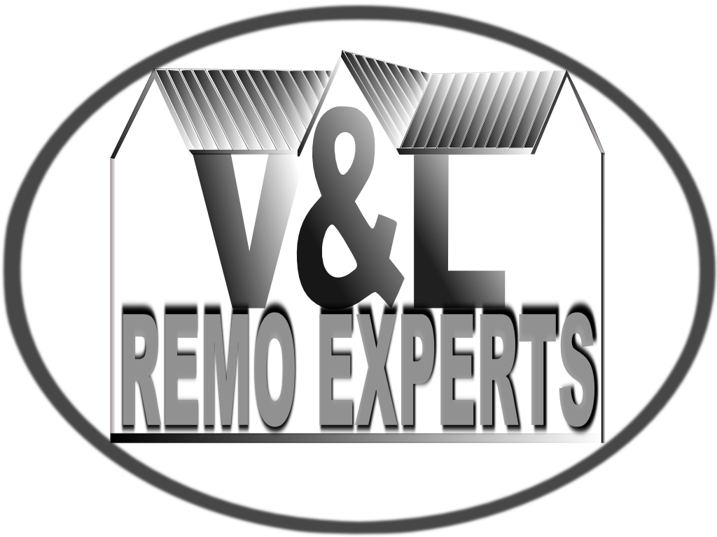 Avatar for v&l remo experts