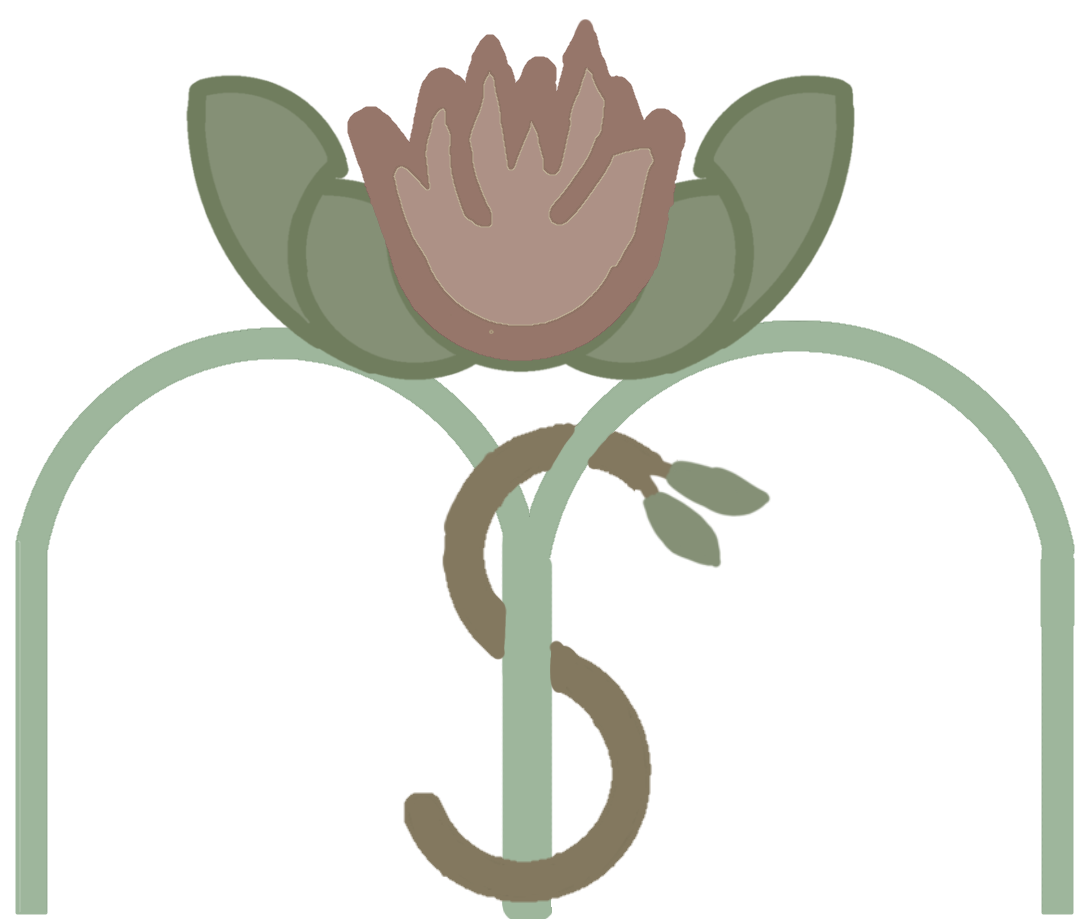 Avatar for Mindful Steps