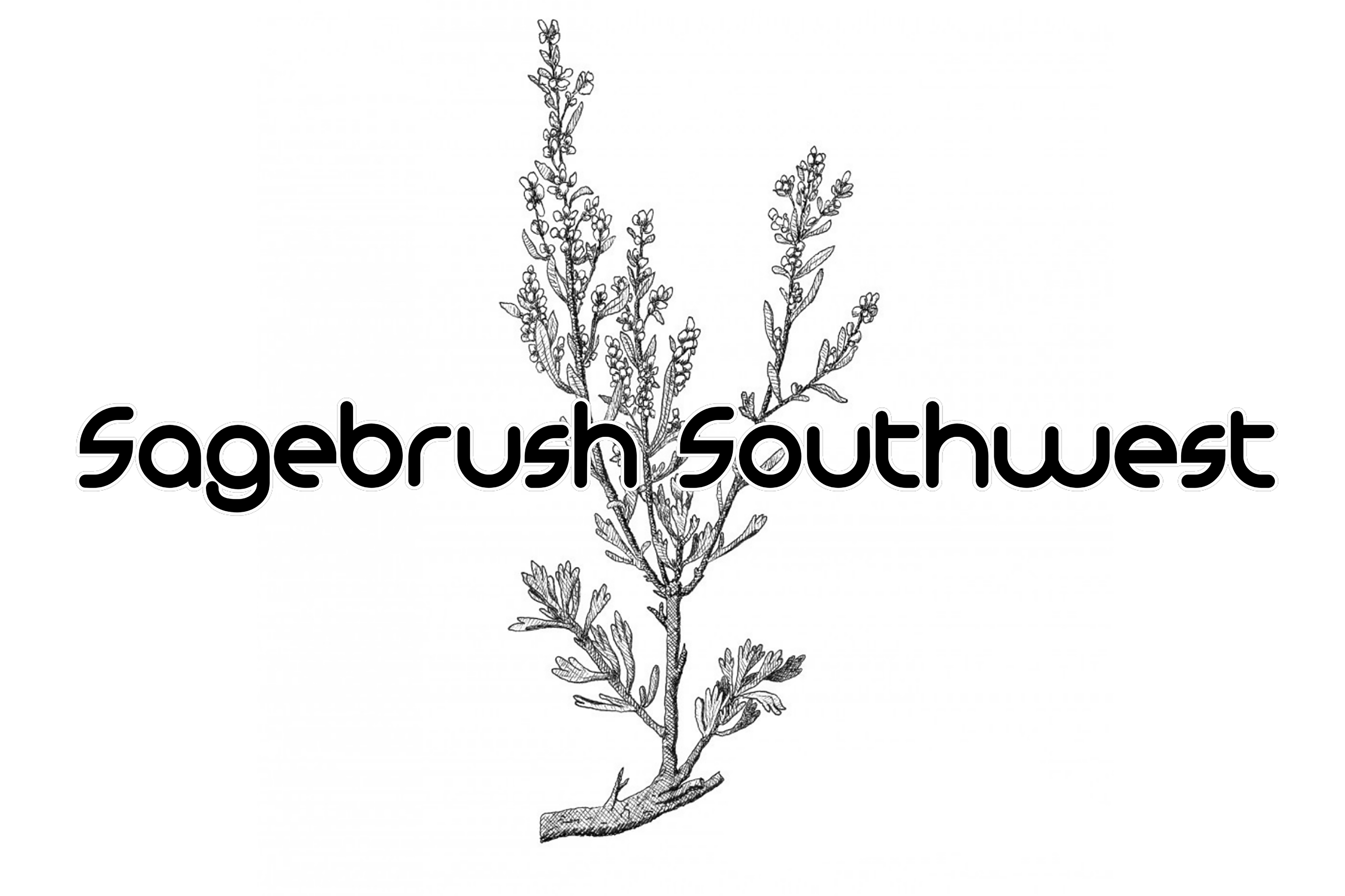 Avatar for Sagebrush Southwest