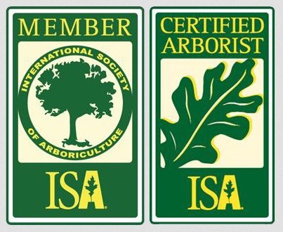 Avatar for Nelson Tree Specialist Inc