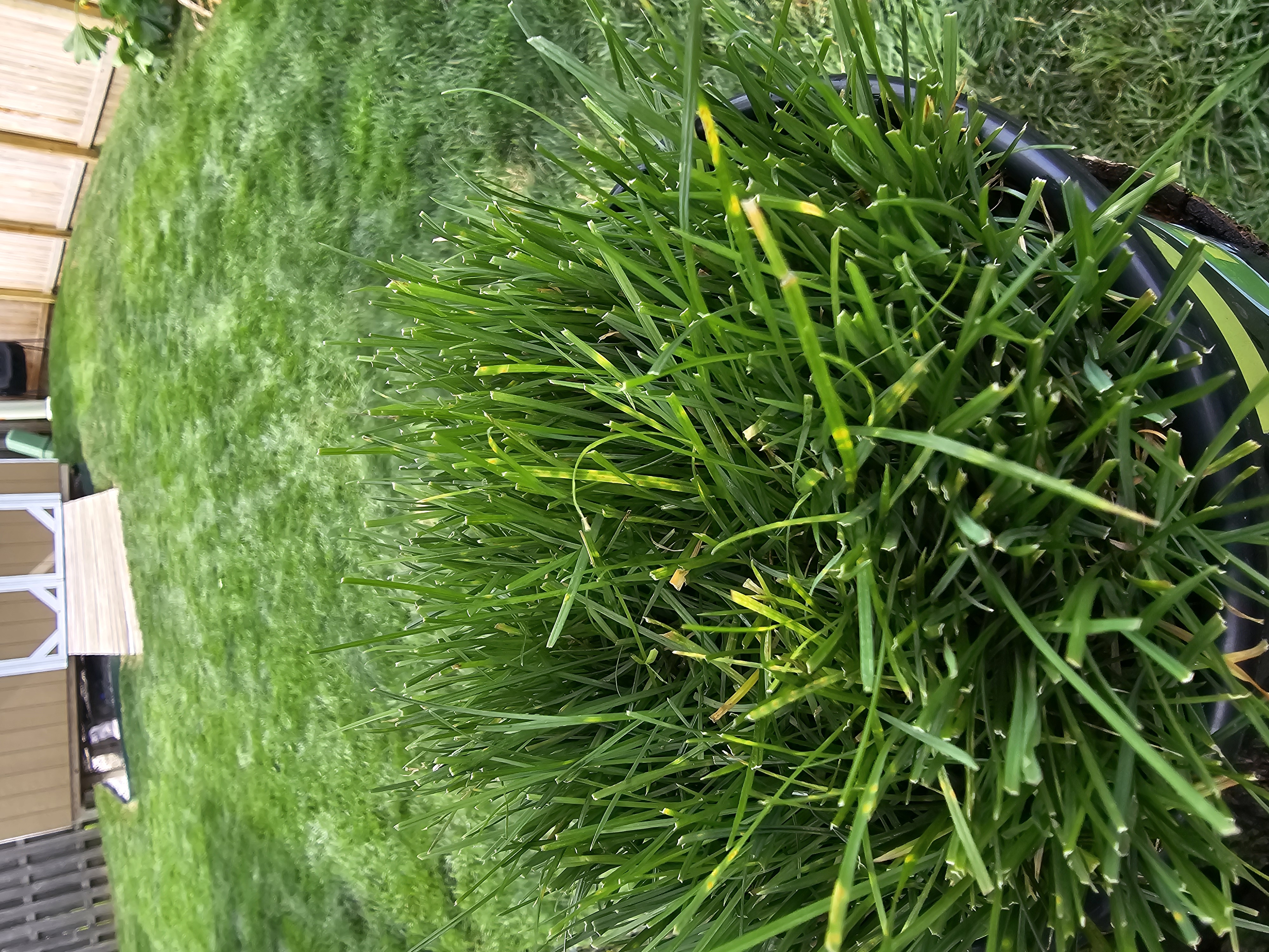 Avatar for Ryan Hinchcliff 