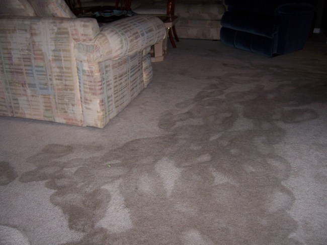 Flood Water Removal