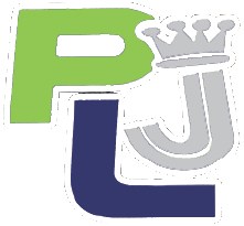 PLJ Carpet Cleaning logo