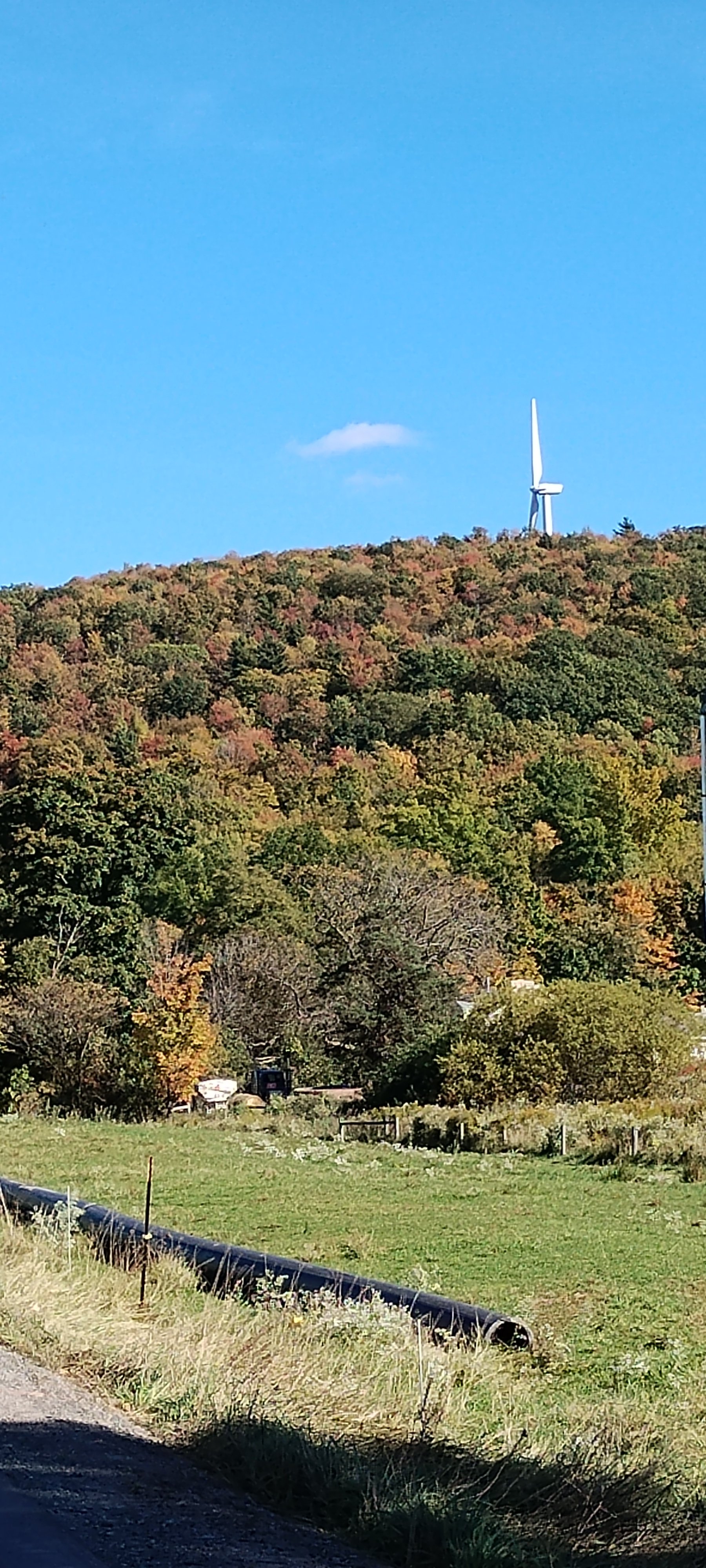 Avatar for No joke handyman 