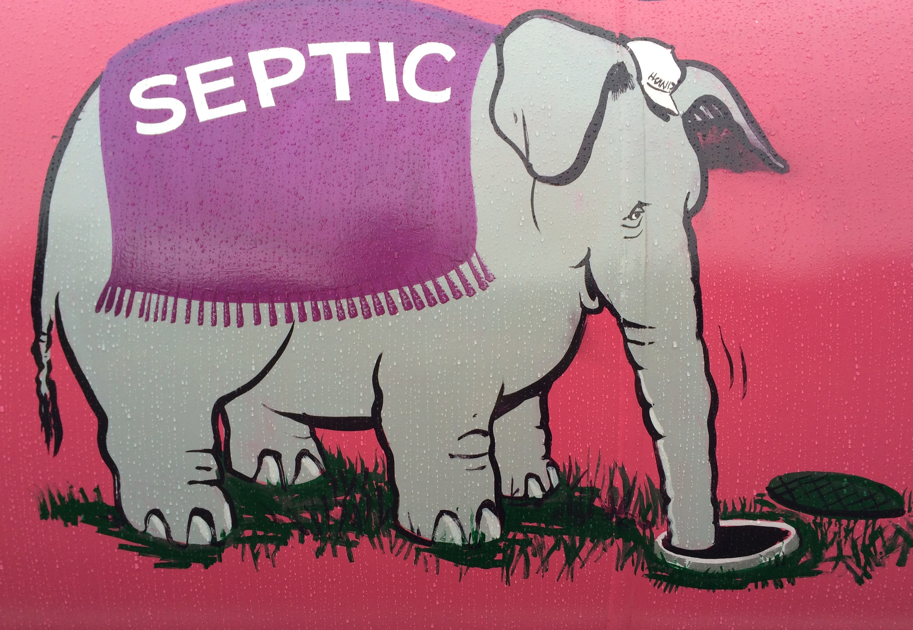 Avatar for Howdys Doody Service