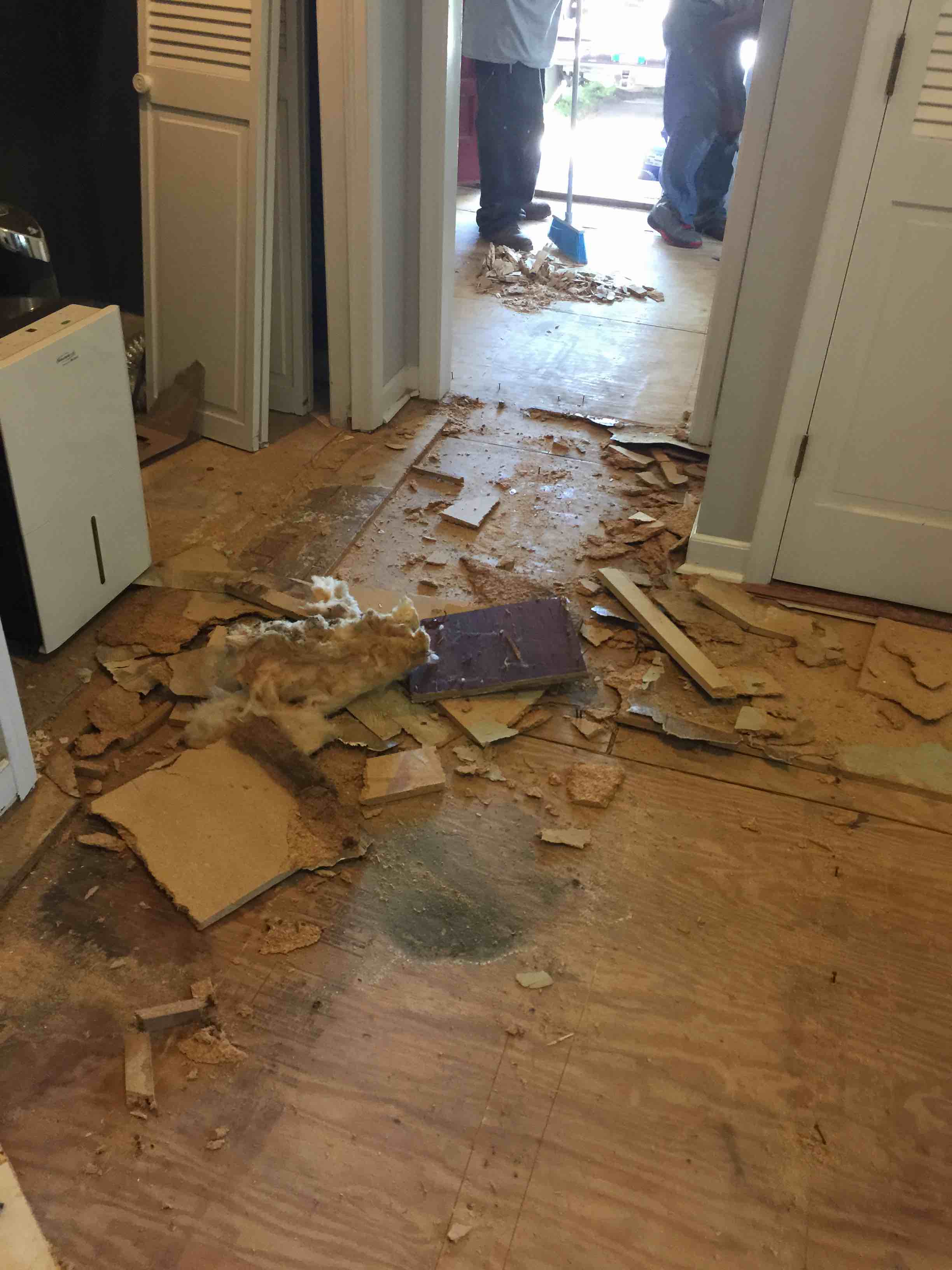 carriers hardwood floors
