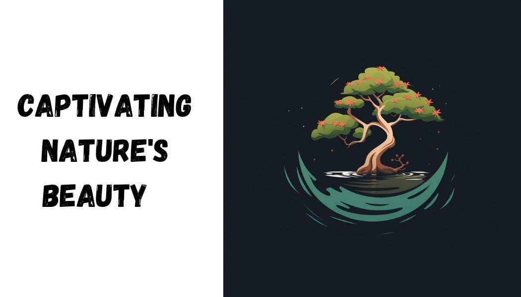 Avatar for Millennium Designs Landscaping LLC