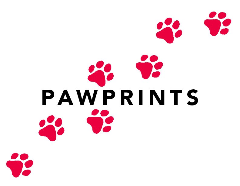 Logo for PawPrintsFla
