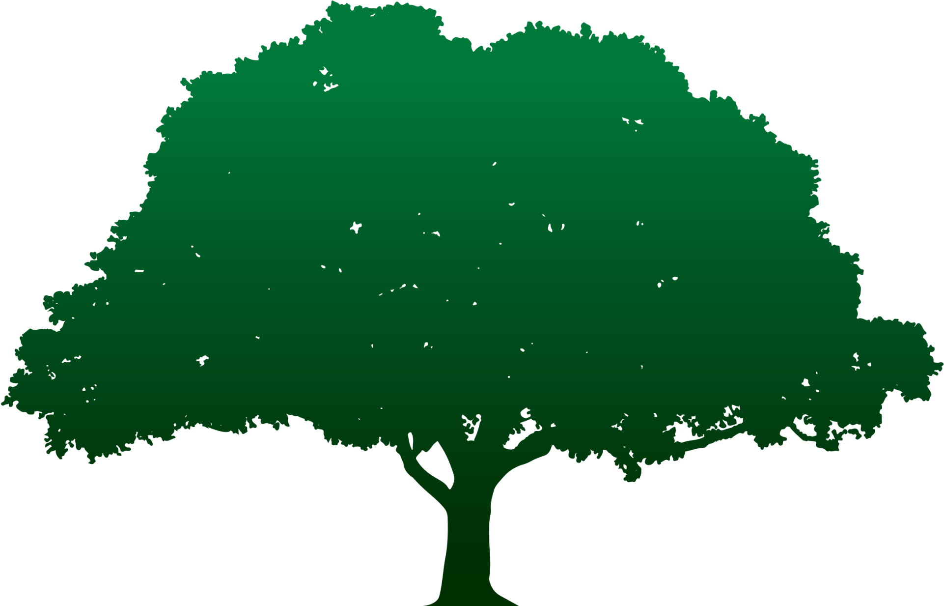 Avatar for A-1 Services