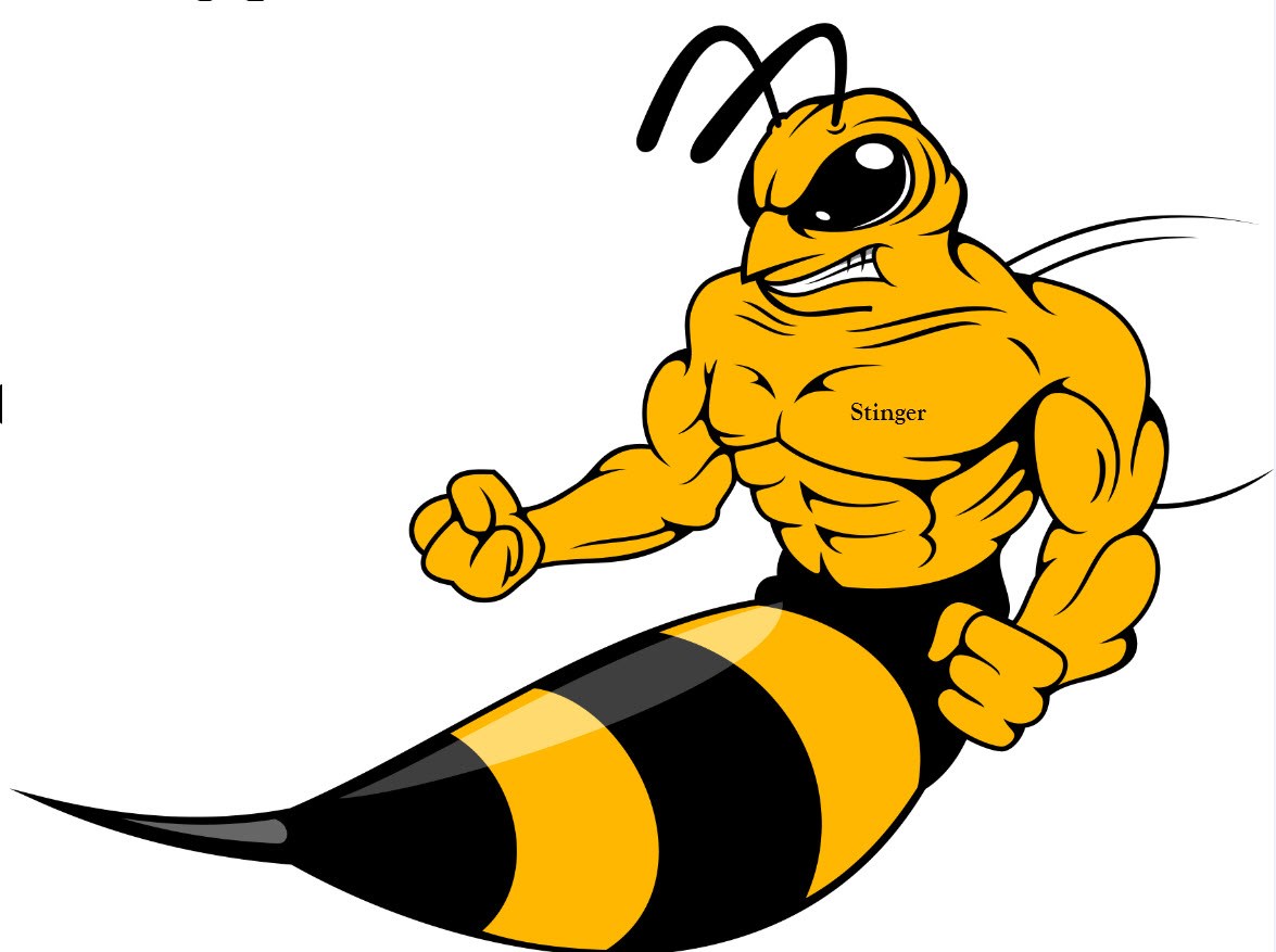 Avatar for Stingerbead