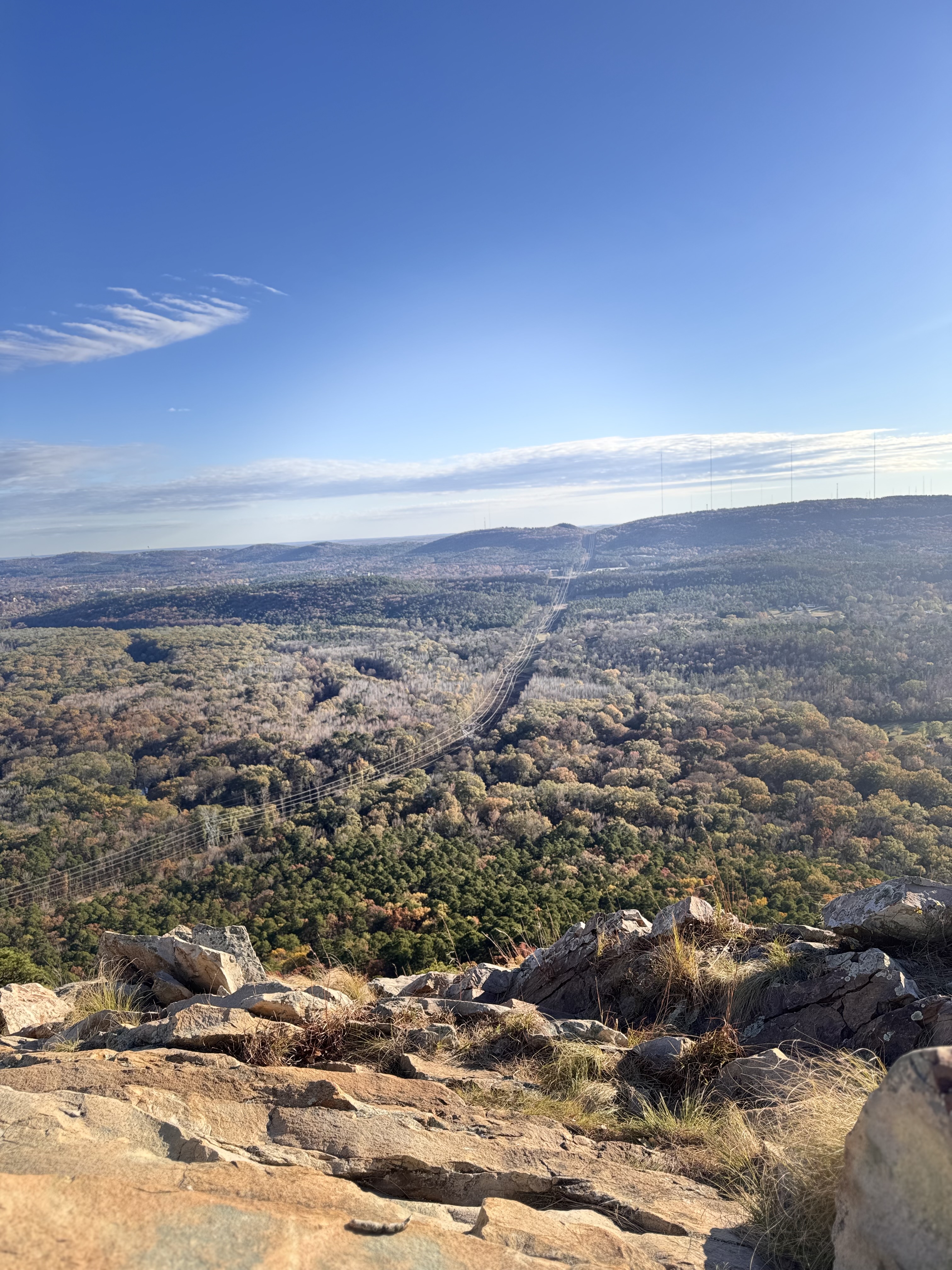 Avatar for Denasia Nelson