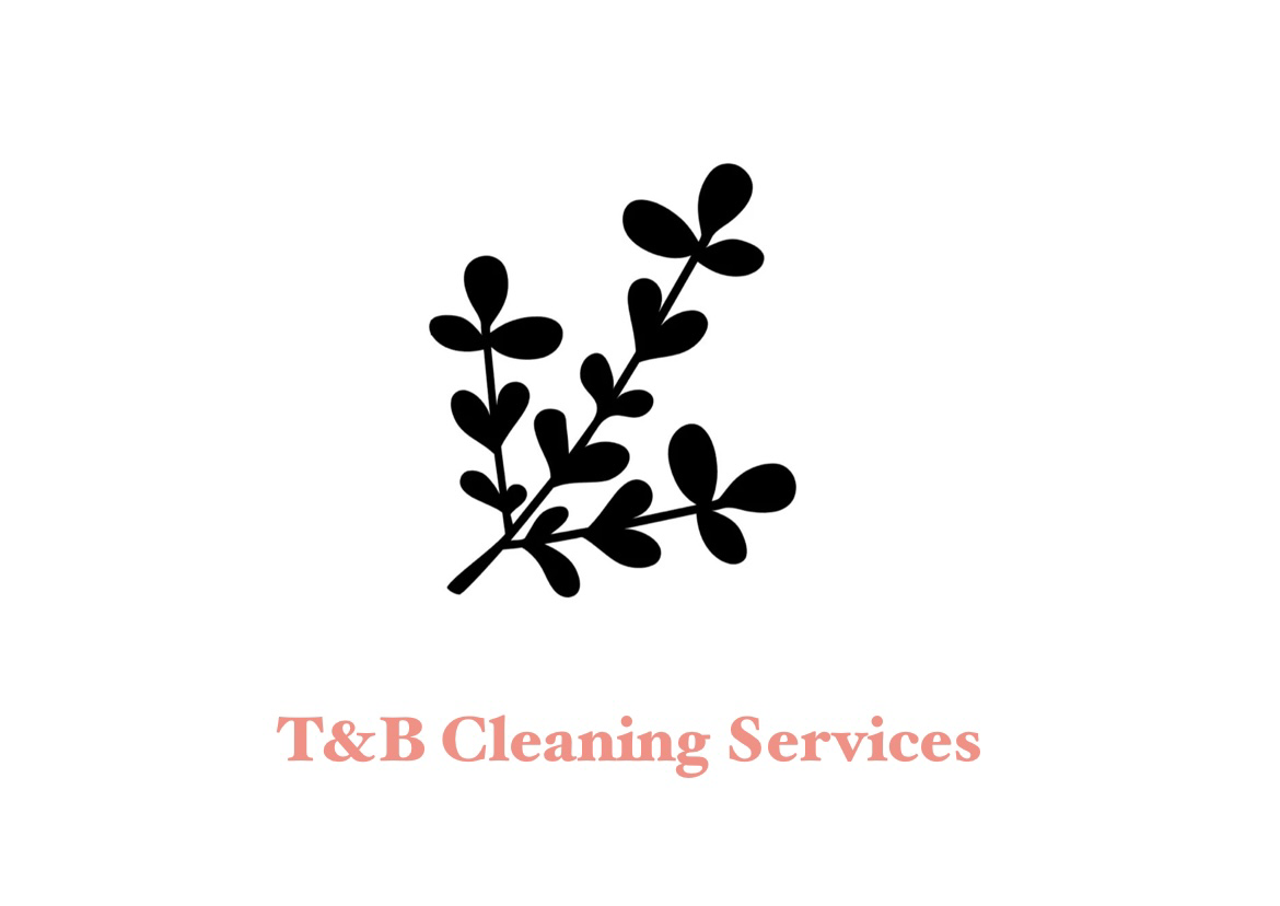 Avatar for T&B Cleaning services