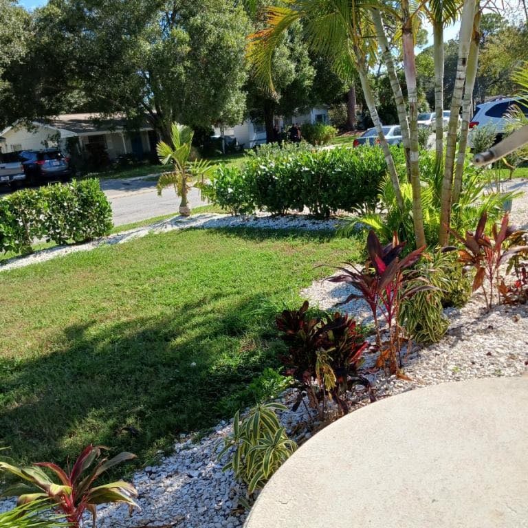 Avatar for All phase tree specialist