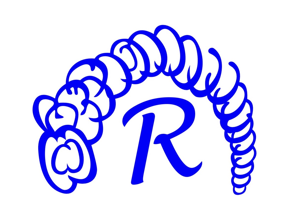 Avatar for Rayo Stucco Services Corp