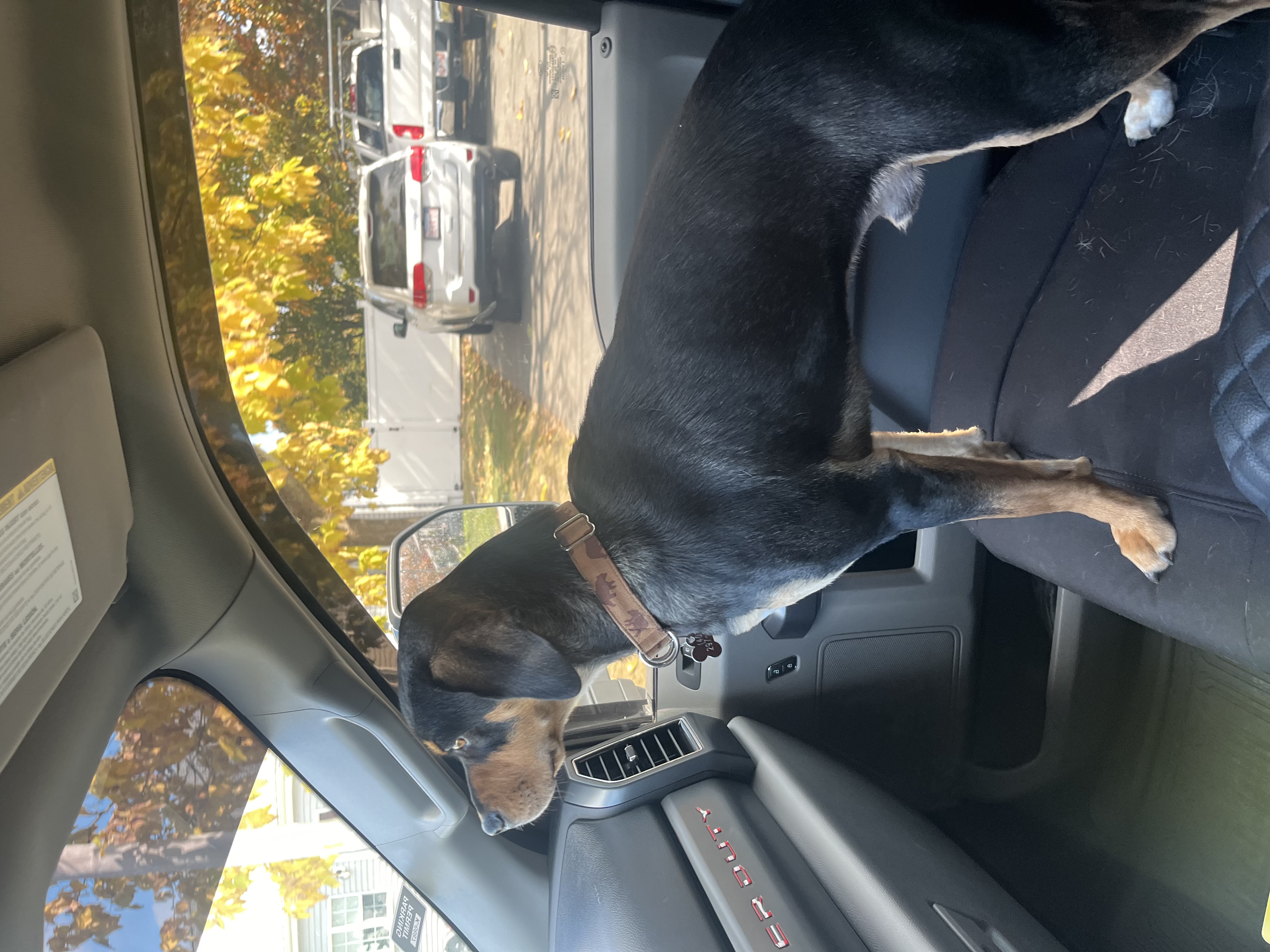 Avatar for Mello Transport 