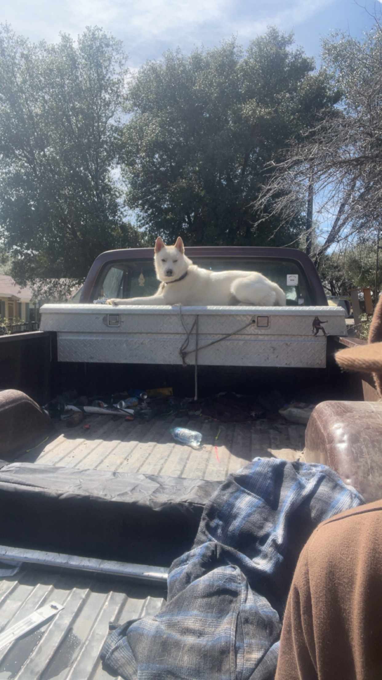 Avatar for Nathaniel Farley