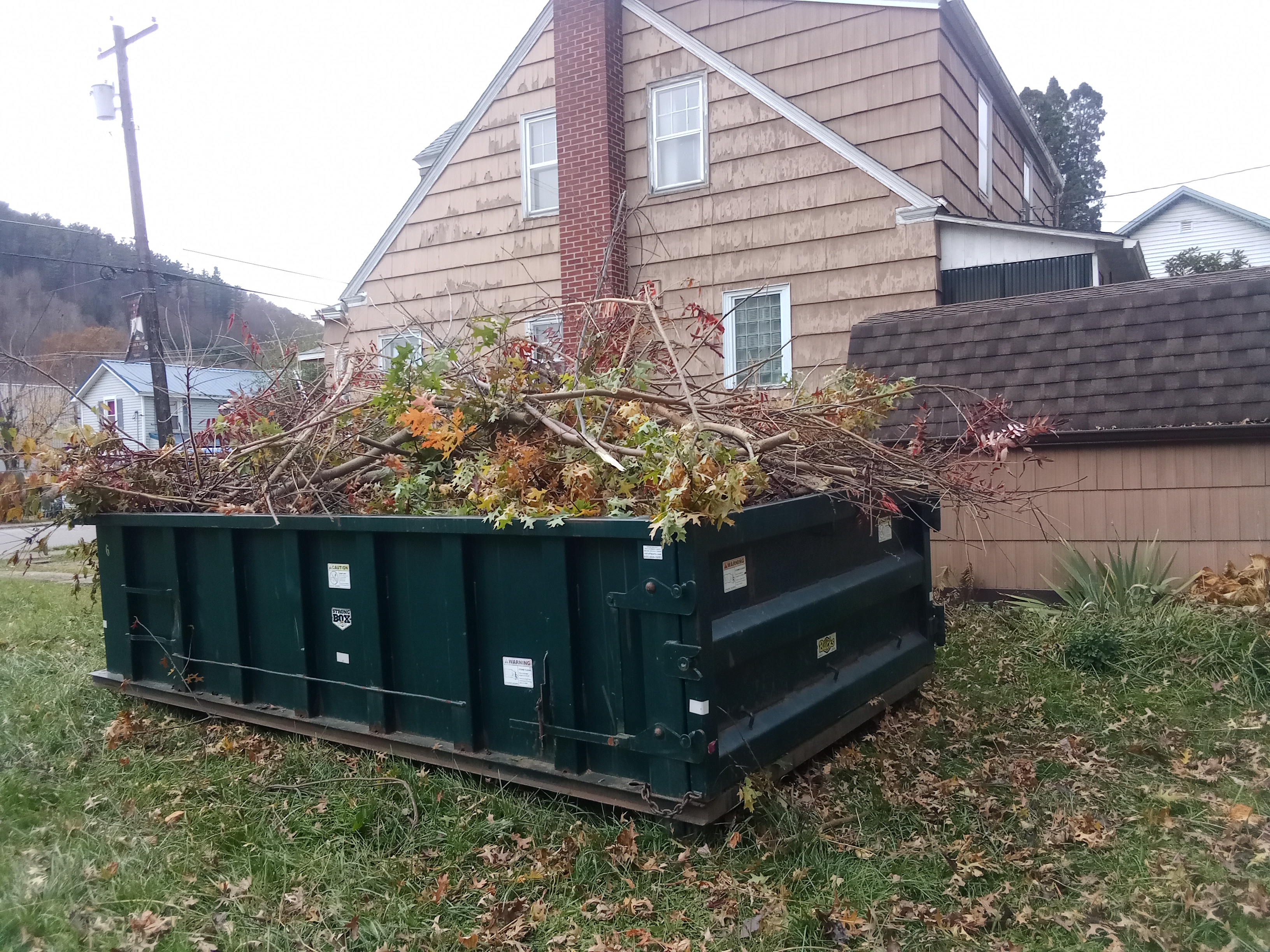 Avatar for Ddi services