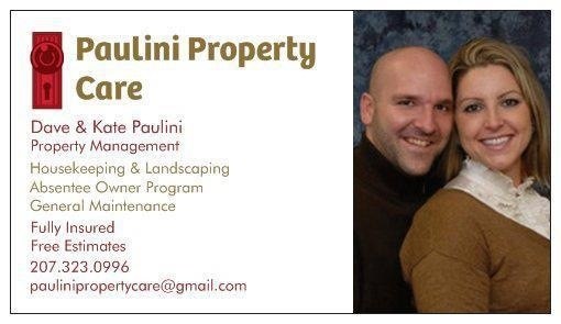 Paulini Property Care logo