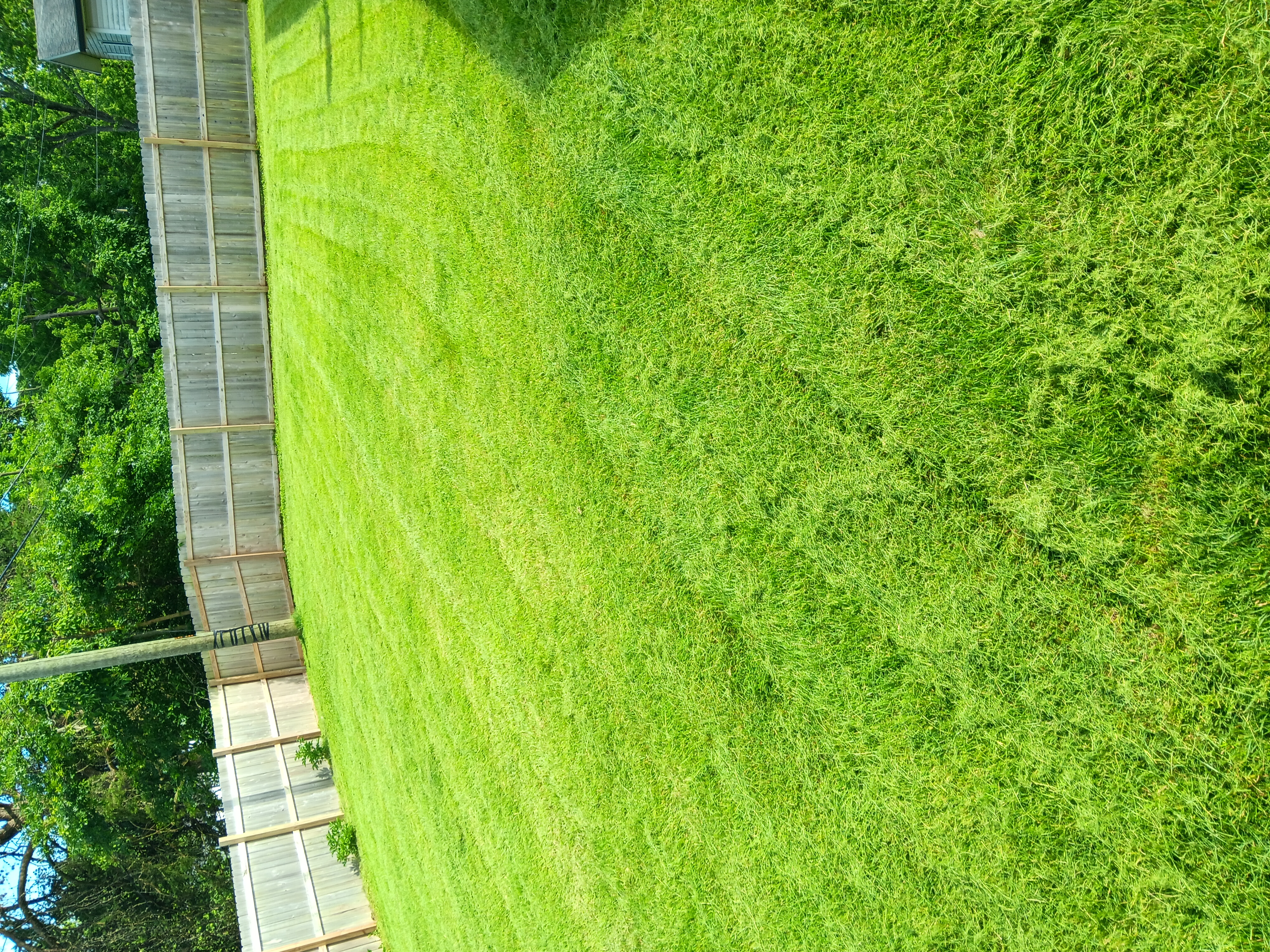 Avatar for Pemberton lawn mowing