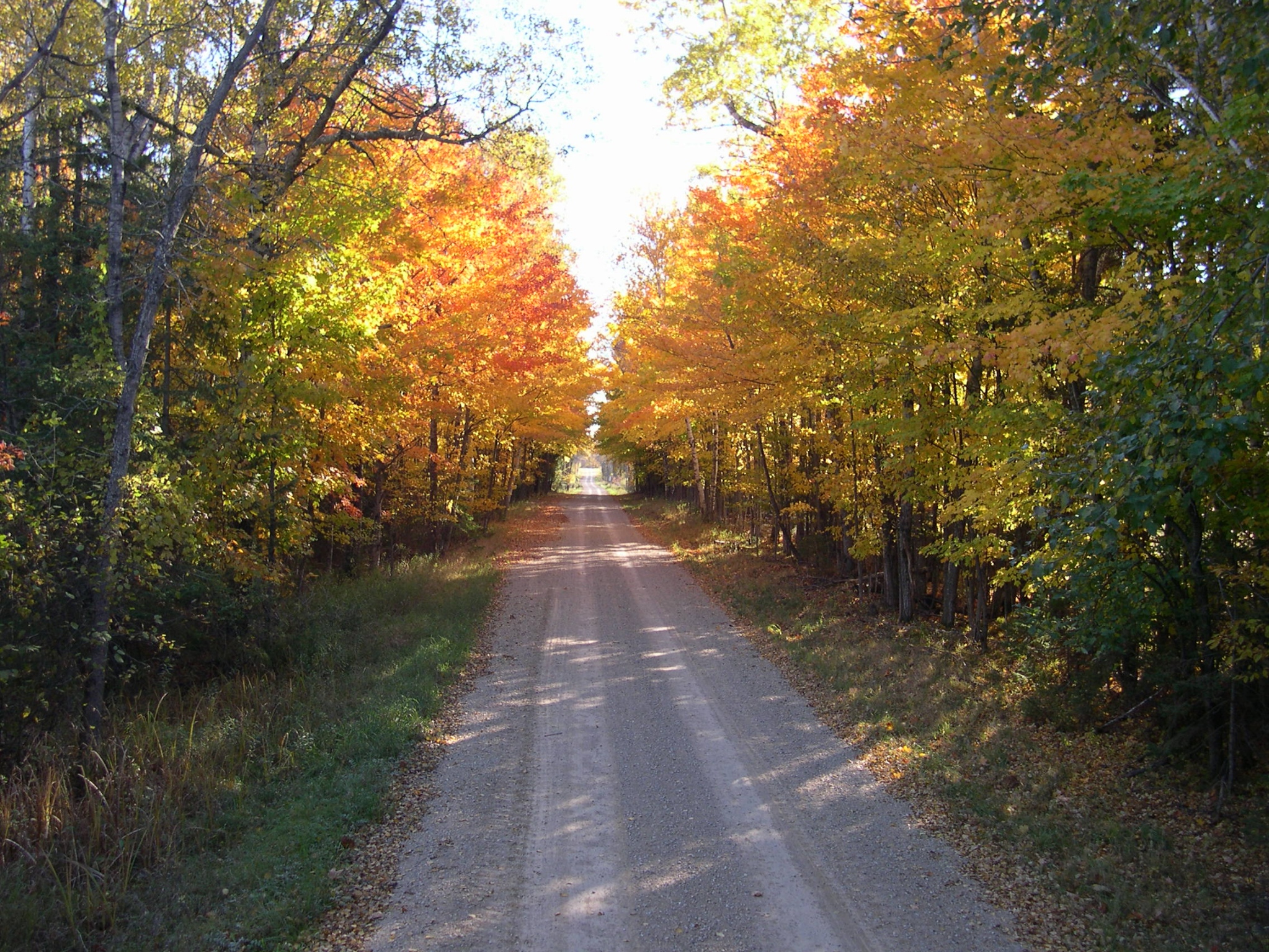 Avatar for Lieberth Farms