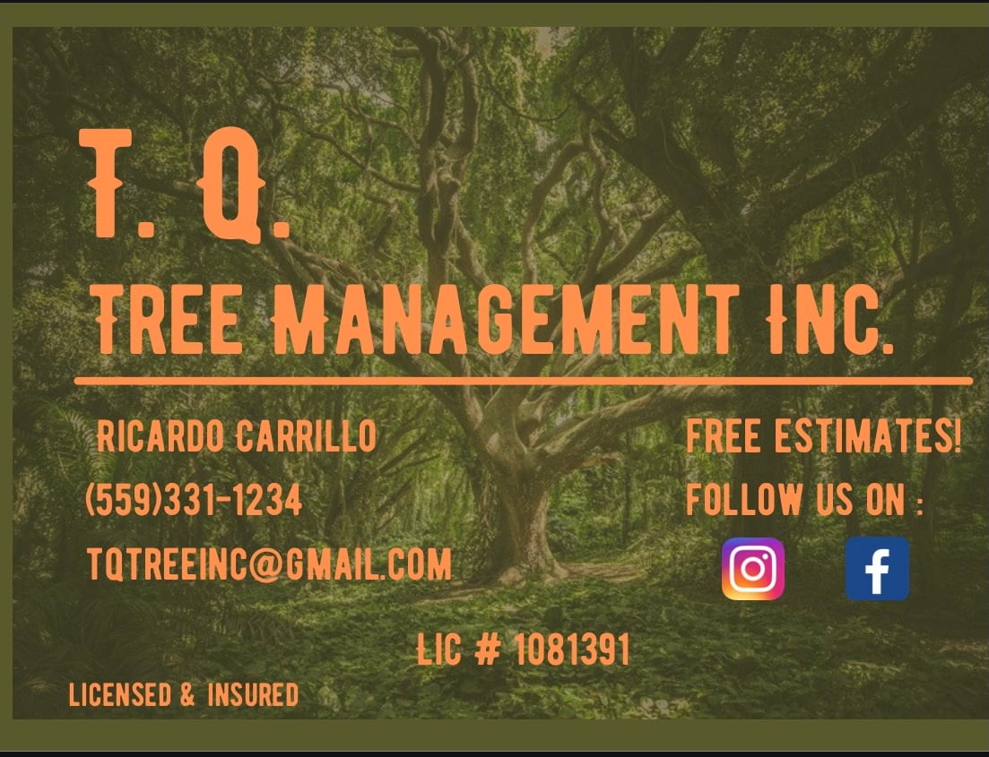 Logo for T.Q. Tree Management inc