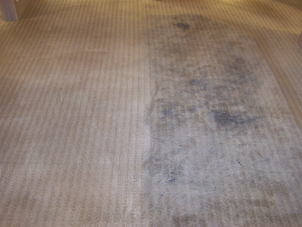 Carpet