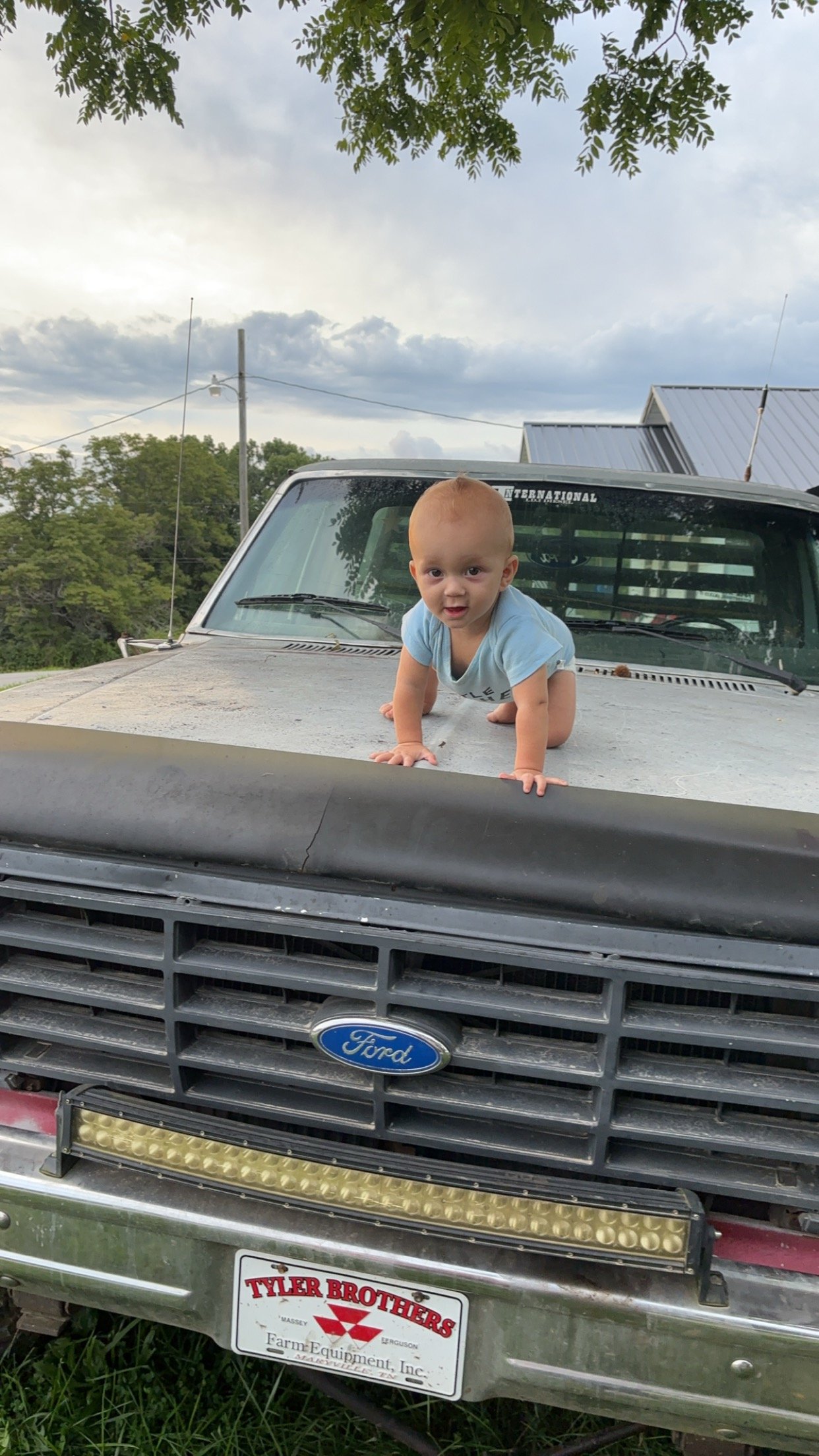 Avatar for Cheeks loggin