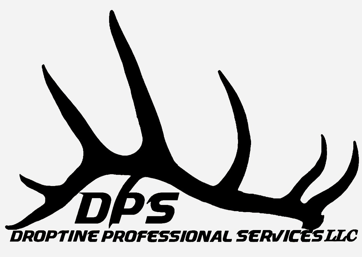 Avatar for Droptine Professional Services