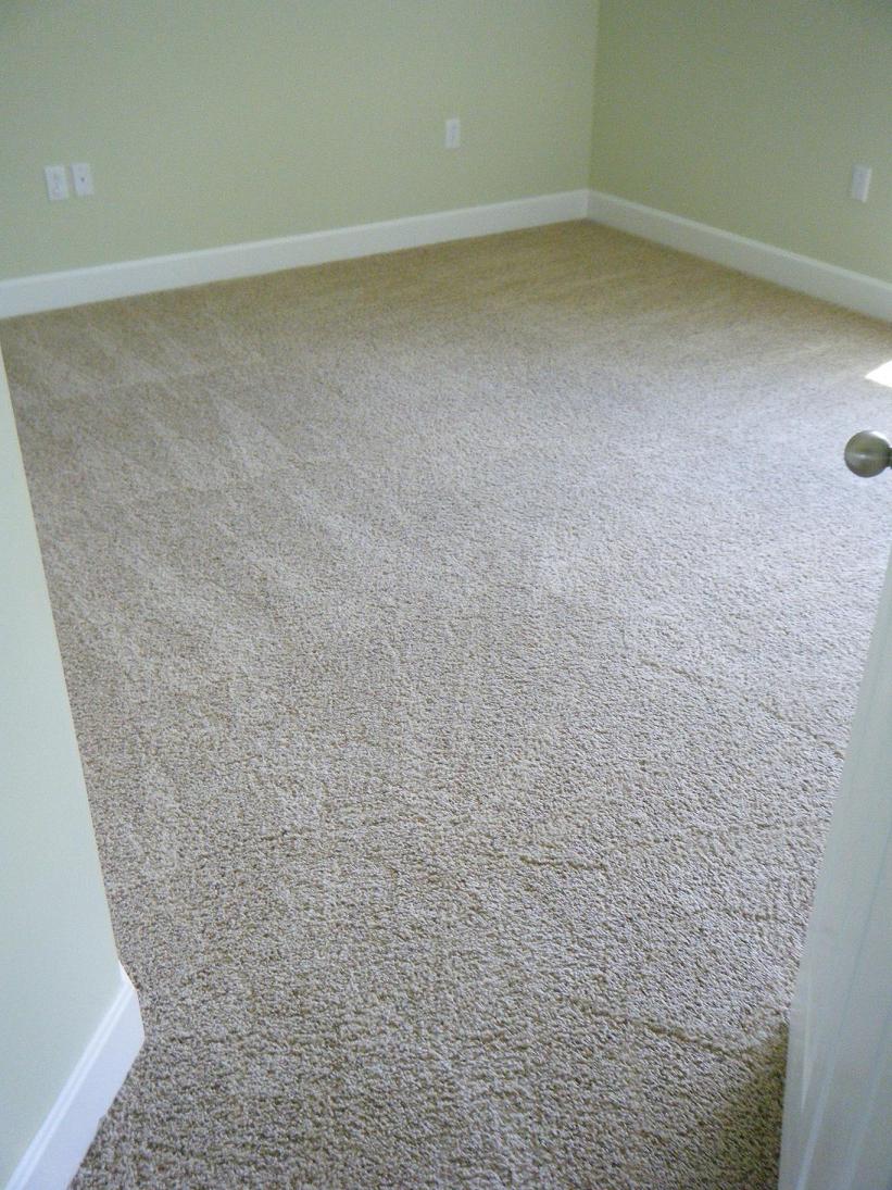 Clean Carpets