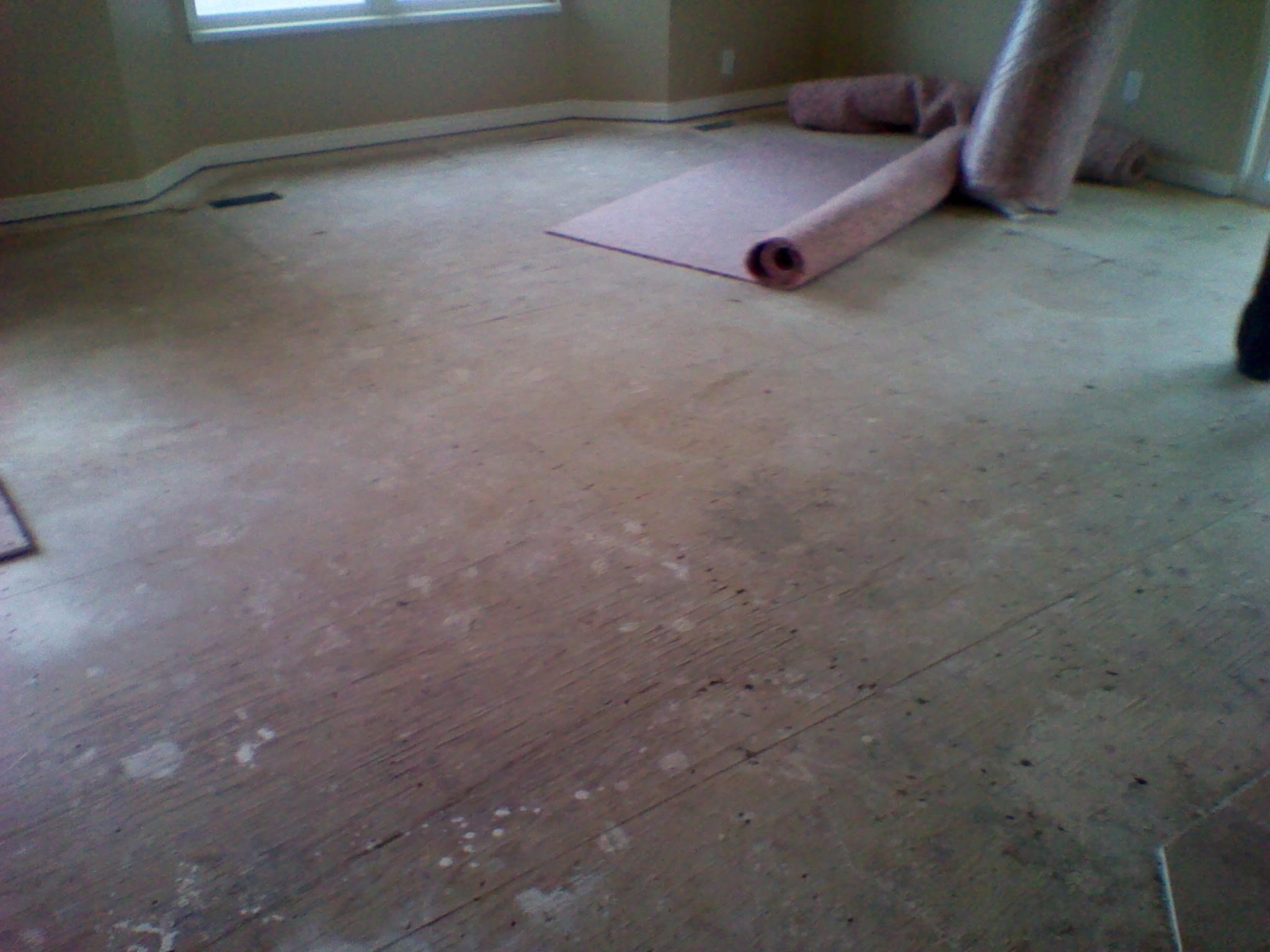 Avatar for Doctor Carpet