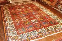 Oriental Rug 