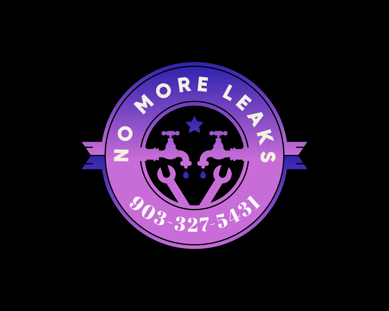 Avatar for No More Leaks