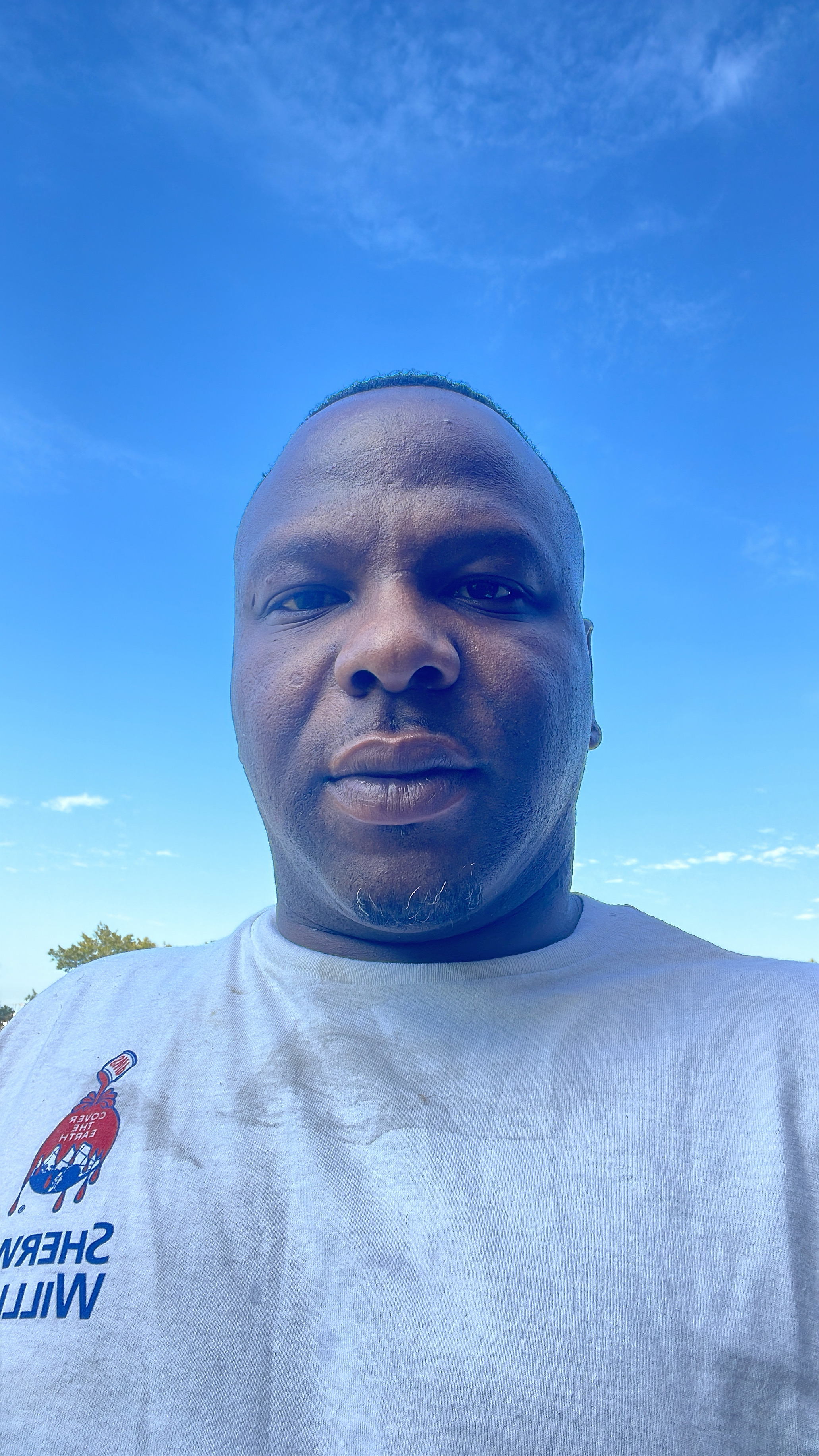 Avatar for Sandwpainting