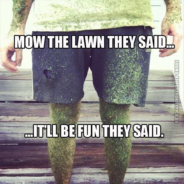 Logo for CJ's Lawn & Snow