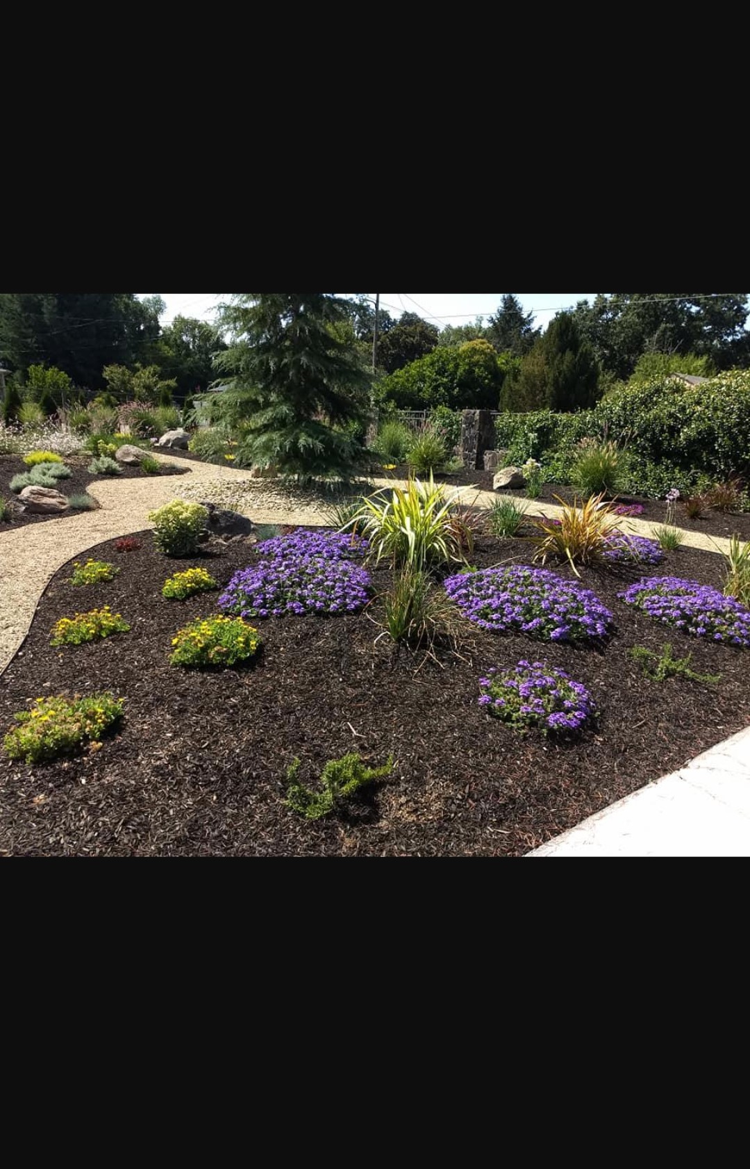 Avatar for M&J.house cleaning,maintenance,landscaping